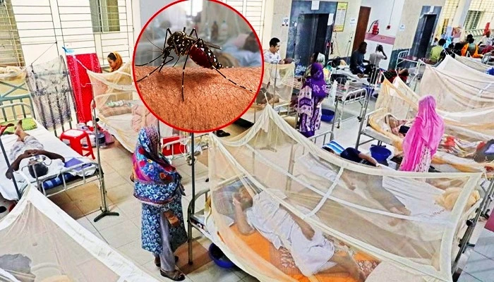 ডেঙ্গুতে আরও ৪ জনের মৃত্যু, হাসপাতালে ভর্তি ১৮৫১