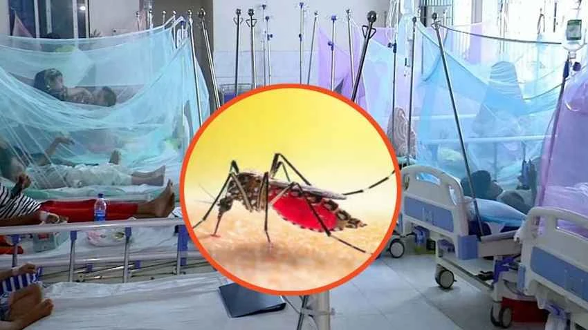 ডেঙ্গুতে আরও ৫ জনের মৃত্যু, হাসপাতালে ভর্তি ১৫১২