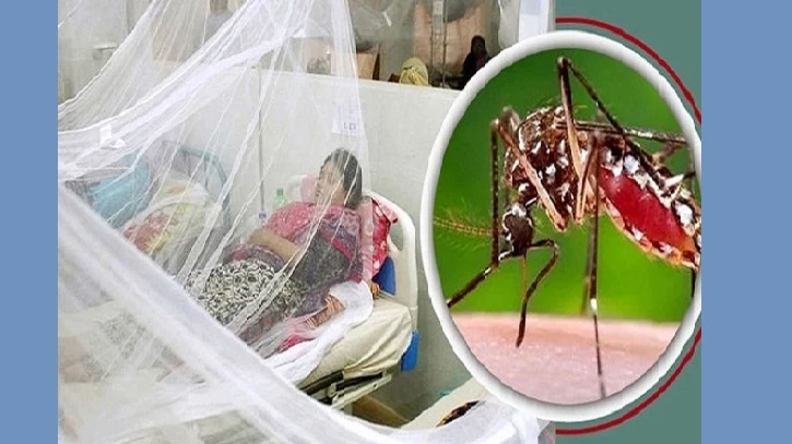ডেঙ্গুতে একদিনে সর্বোচ্চ ১১ জনের মৃত্যু