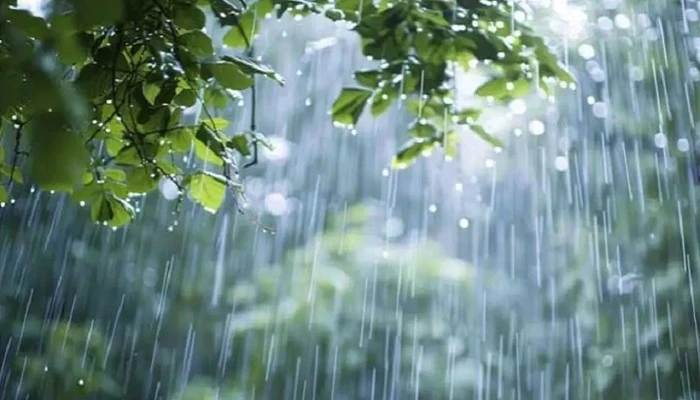 আজও সারা দেশে বৃষ্টির আভাস, ৫ জেলায় ভূমিধসের উচ্চ ঝুঁকি