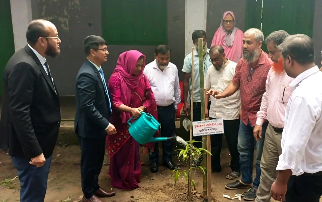 সেনবাগে দুই শিক্ষাপ্রতিষ্ঠানে রোপণ করলো পূবালী ব্যাংক পিএলসি