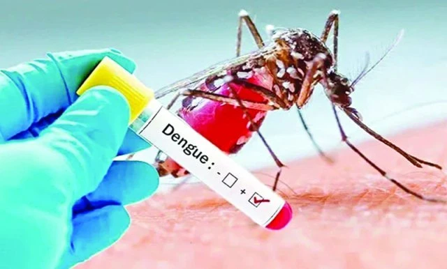 ডেঙ্গুতে আরও ৬ জনের মৃত্যু, হাসপাতালে ১৪৯২