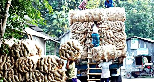 পাট রপ্তানি করে ১০ বছরে দেশের আয় ৮৪ হাজার কোটি টাকা
