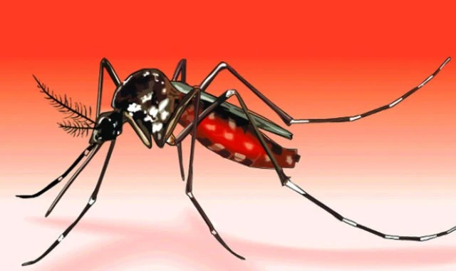 ডেঙ্গু নিয়ে হাসপাতালে ভর্তি ৫০ হাজার ছাড়ালো, মৃত্যু ১৪৩