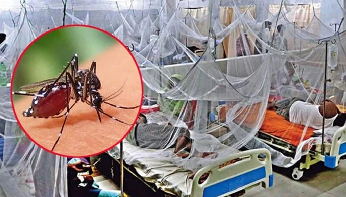ডেঙ্গুতে আরও ৬ জনের প্রাণহানি