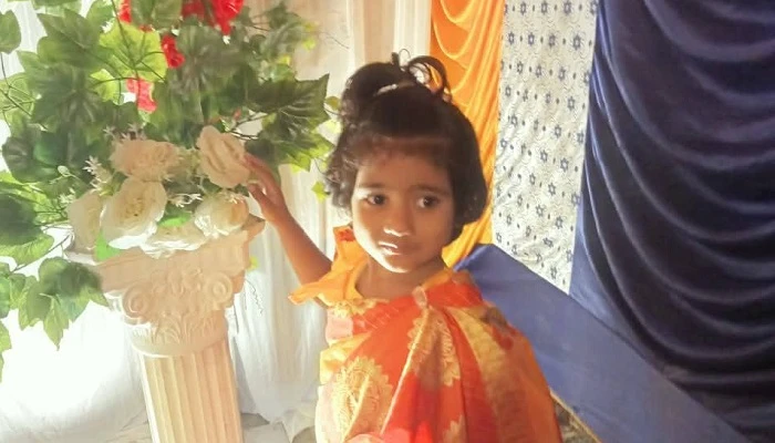 সেনবাগে পুকুরে ডুবে শিশুর মৃত্যু
