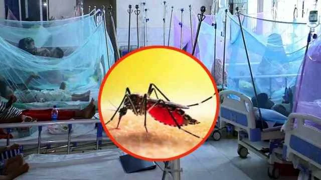 ডেঙ্গুতে মৃত্যু ৩০০ ছুঁইছুঁই, ২৪ ঘন্টায় প্রাণ গেল চারজনের
